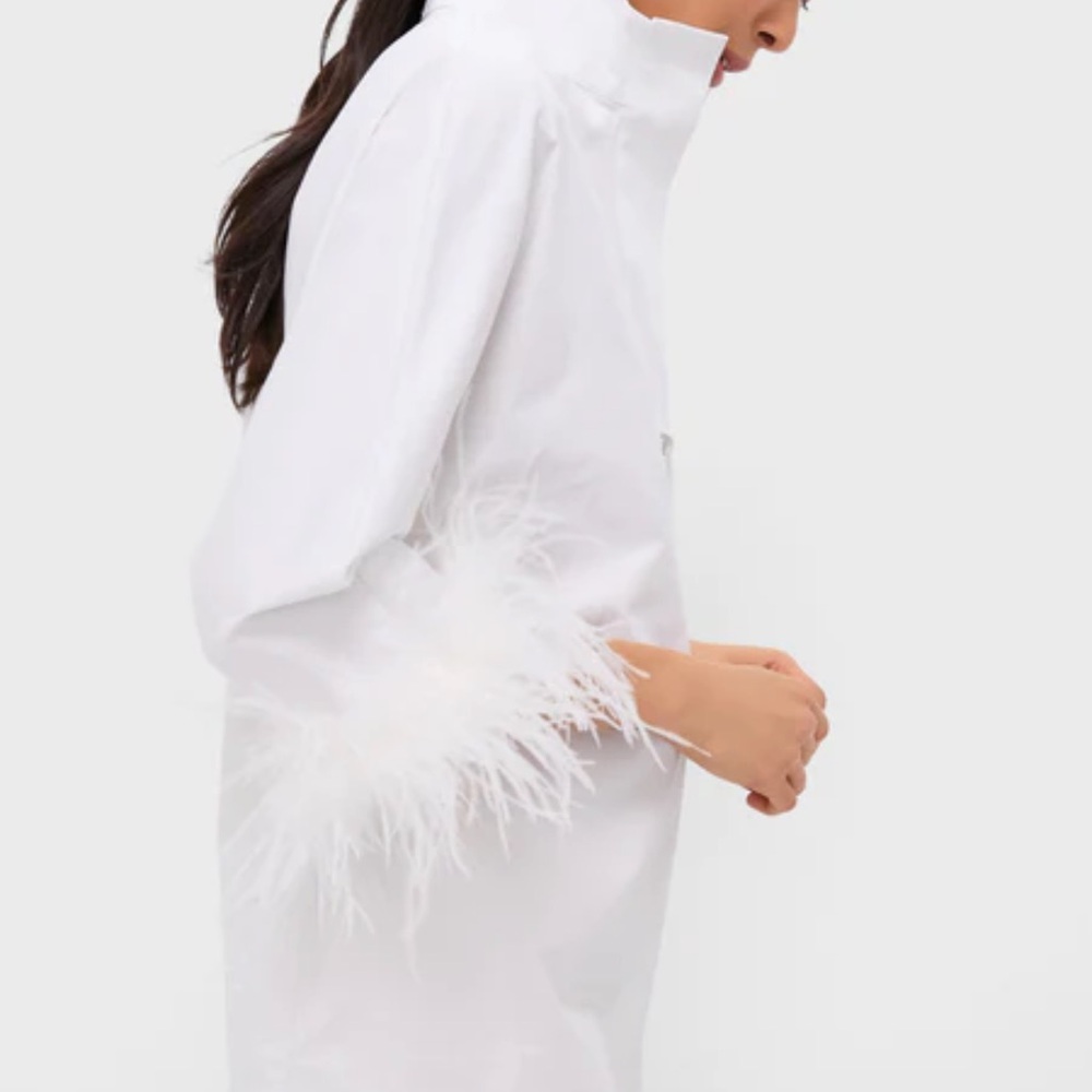 Tuckernuck feather sleeve blouse